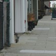 Paving the way for a better branded borough Paving the way for a better branded borough