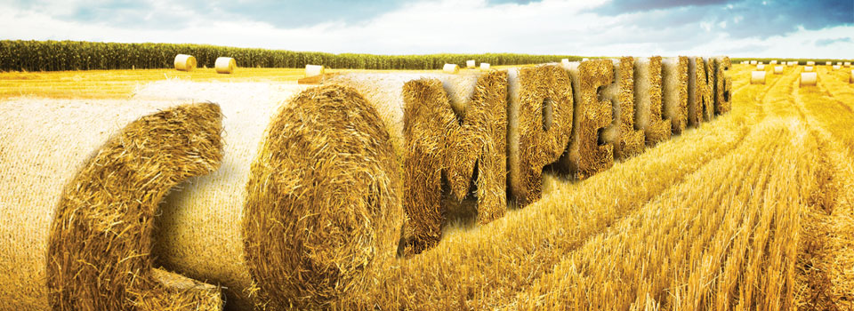 The Fertilizer