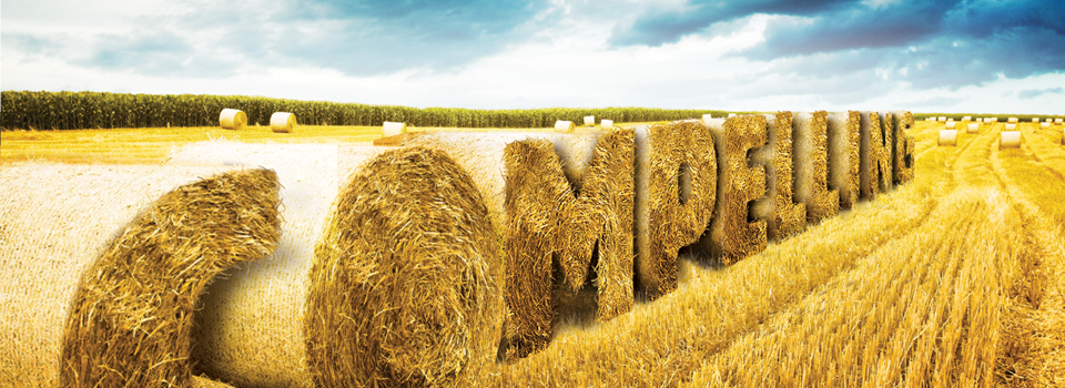 The Fertilizer