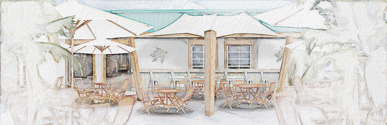 Leatherback Brewing Co. Exterior and Environmental Design