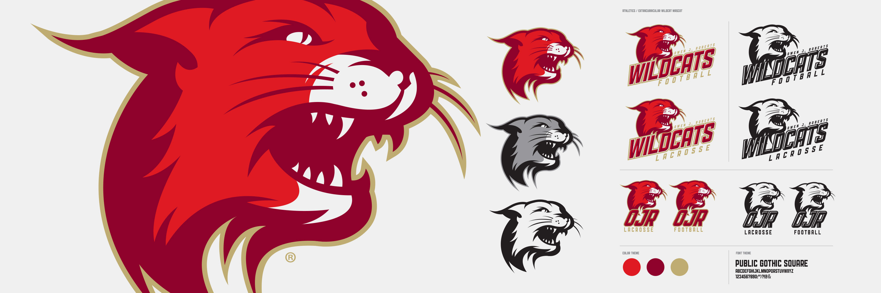 Scholastic and Collegiate Sports Mascot and Team Branding