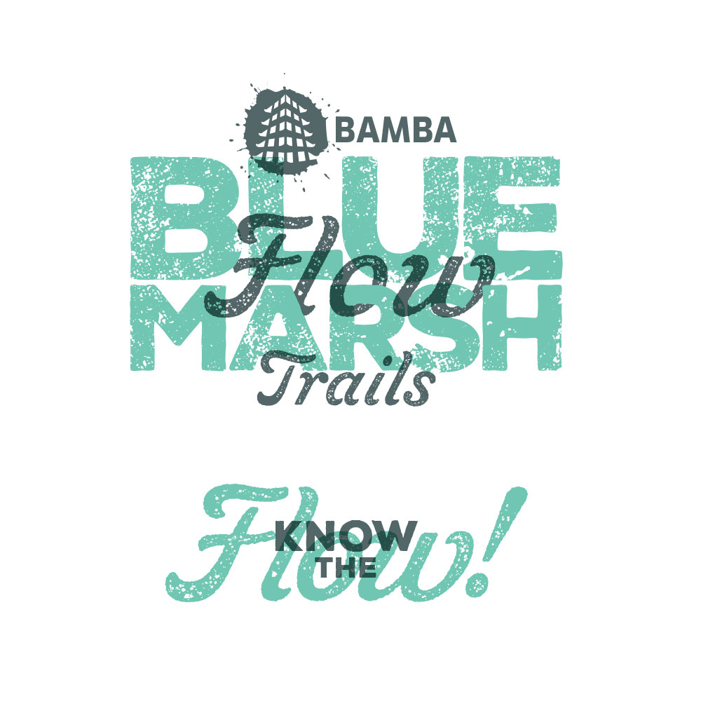 Flow Trail Logo